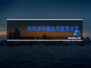 哈利波特魔法觉醒舞会怎么和npc跳舞