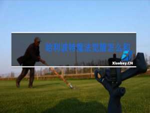 哈利波特魔法觉醒怎么解锁跳舞