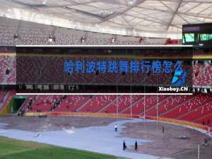 哈利波特跳舞排行榜怎么看