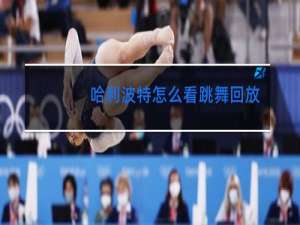 哈利波特怎么看跳舞回放