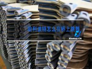 哈利波特怎么在桥上跳舞