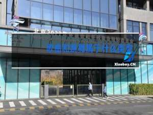 歌曲和跳舞属于什么类型