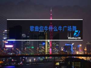 歌曲你牛什么牛广场舞
