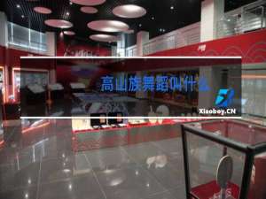 高山族舞蹈叫什么