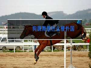 狗跳舞是什么梗外国