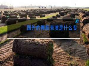 国外的舞蹈表演是什么专业