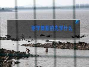 刚学舞蹈的先学什么