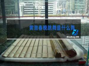 黄渤春晚跳舞是什么舞