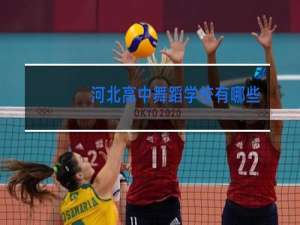 河北高中舞蹈学校有哪些