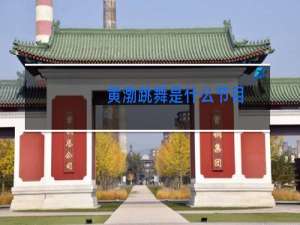 黄渤跳舞是什么节目