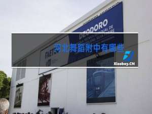 河北舞蹈附中有哪些