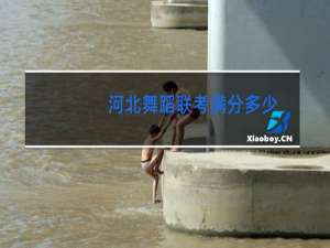 河北舞蹈联考满分多少