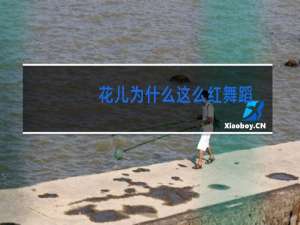 花儿为什么这么红舞蹈