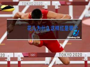 花儿为什么这样红是哪个民族舞蹈