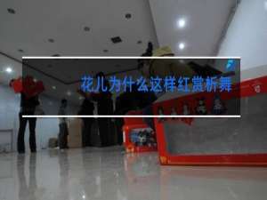 花儿为什么这样红赏析舞蹈