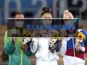 花儿为什么这样红舞蹈论文文献综述