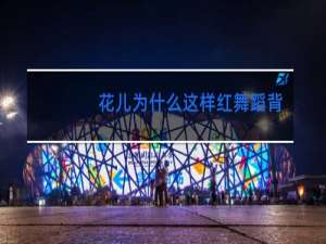 花儿为什么这样红舞蹈作品简介