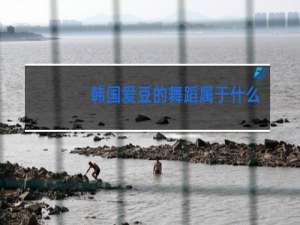 韩国爱豆的舞蹈属于什么舞
