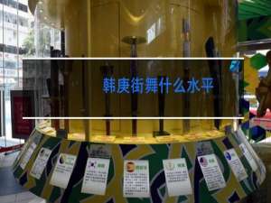 韩庚街舞什么水平