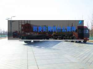 韩庚街舞跳什么舞种