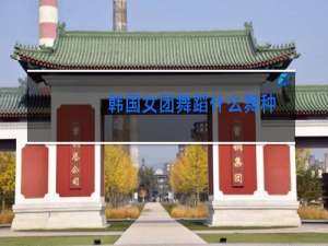 韩国女团舞蹈什么舞种