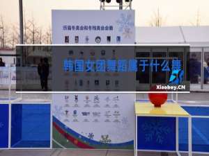 韩国女团舞蹈属于什么舞