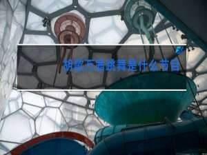 胡歌万茜跳舞是什么节目