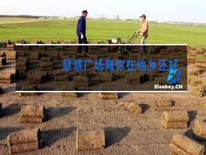 慧慧广场舞你在他乡还好吗