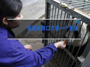 画画跳舞口才哪一个更值得学