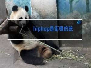 hiphop是街舞的统称吗