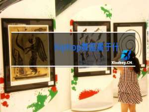 hiphop舞蹈属于什么舞种