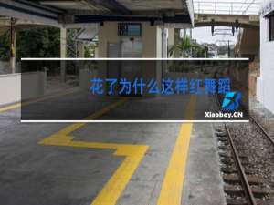 花了为什么这样红舞蹈