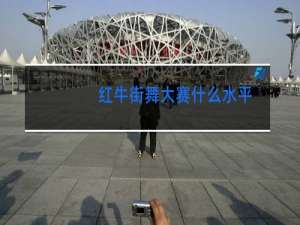 红牛街舞大赛什么水平