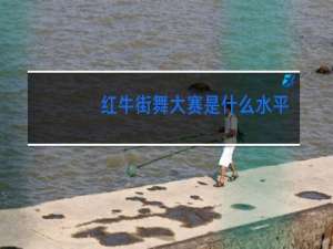 红牛街舞大赛是什么水平