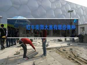 红牛街舞大赛有哪些舞种