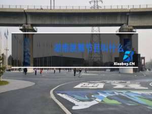 湖南跳舞节目叫什么