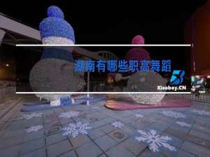 湖南有哪些职高舞蹈