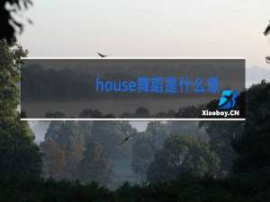 house舞蹈是什么意思
