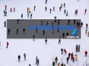 和平精英怎么获取跳舞