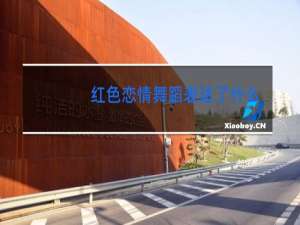 红色恋情舞蹈表达了什么