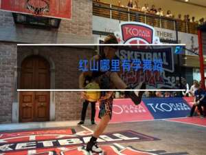 红山哪里有学舞蹈