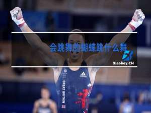 会跳舞的蝴蝶跳什么舞