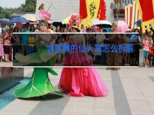 会跳舞的仙人掌怎么拆解