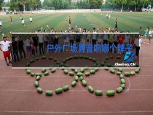 户外广场舞音响哪个牌子好