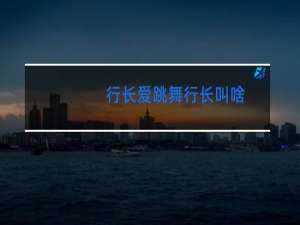 行长爱跳舞行长叫啥
