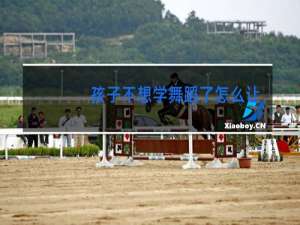 孩子不想学舞蹈了怎么让他给坚持