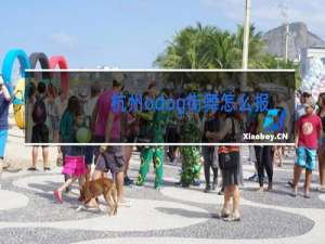 杭州odog街舞怎么报名