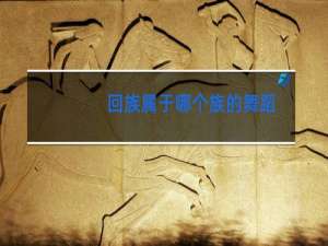 回族属于哪个族的舞蹈