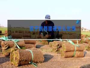 孩子跳舞腰硬怎么处理