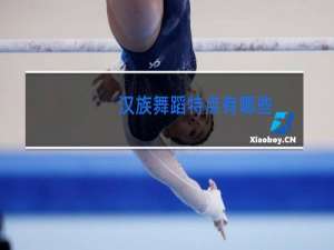 汉族舞蹈特点有哪些